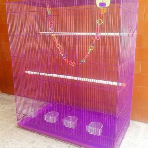 kandang sugar glider