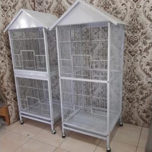 kandang sugar glider