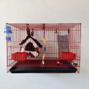 kandang sugar glider