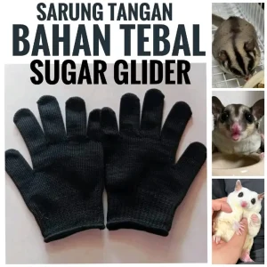 sarung tangan